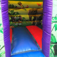 12ft X 15ft Jungle Slide Castle