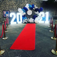Vip Red Carpet Runway