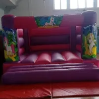 Pink And Purple Castle 13x15ft H Frame