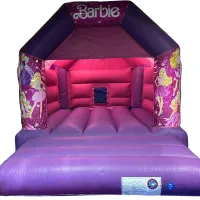 Pink And Purple Bouncy Castle 11ft X 15ft