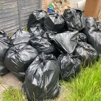 Bin Collection