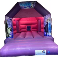 Pink And Purple Bouncy Castle 11ft X 15ft