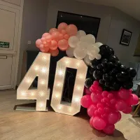 4ft Led Numbers