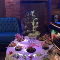 Duel Cascading Chocolate Fountain Hire