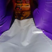 Princess Bounce And Slide