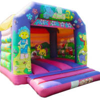15ft X 13ft Cartoon Bouncy Castle