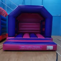 Pink Purple Bouncy Castle