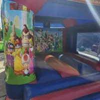 10ft X 12ft Super Mario Interchangeable Bouncy Castle
