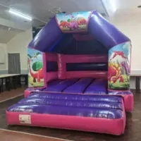 12ft X 14ft Pink And Purple Dinosaur Disco Bouncy Castle And Soft Play Package