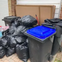 Bin Collection