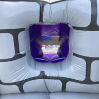 Wizard Castle With Slide