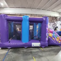 Double Slide Activity Bouncer