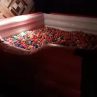 Adult Ball Pit 2