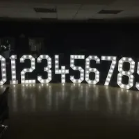 4ft Led Numbers - Number 2