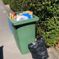 Bin Collection