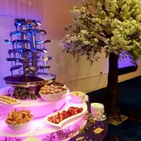 Duel Cascading Chocolate Fountain Hire