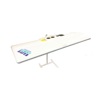Elite Electronic Stand Up Sunbed