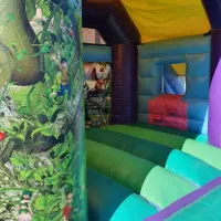 14ft X 16ft Fantasy Bounce And Slide