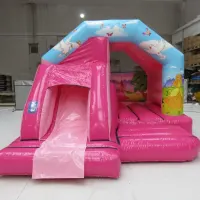 Princess Bouncy Castle With Slide