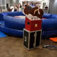 Rodeo Bull Hire Birmingham Bucking Bronco Hire