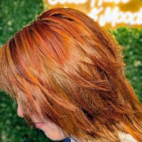 Vivid Hair Colour Shapeshift Hair And Beauty