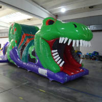 Indoor Double Dinosaur 3d Package