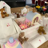Themed Soft Play - Teddy Bears Picnic