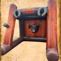 Ring The Rodeo Bull