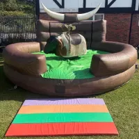 Rodeo Bull