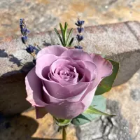 Buttonholes And Corsage