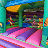14ft X 16ft Winnie The Pooh Bounce And Slide