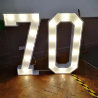 Light Up Numbers