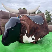 Mechanical Rodeo Bull