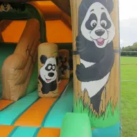 Panda Adventure Play With Front Slides