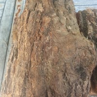 Kiln Dried Oak Bag