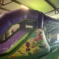 Dino Dragon Fun Run Weekend