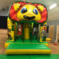 33ft Jungle Fun Run With Slide