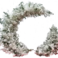 Split Moonring With White Rose, Gyp And Blossom Hanging Orchids And Bursts Of Green Foliage