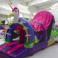 Unicorn Assault Course Hire