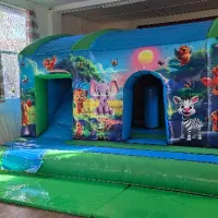 Jungle Bouncy Activity Castle