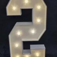 Number Lights 4ft 0-9 Available