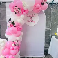 Themed Party Decor Back Drops