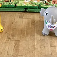 Jungle Animal Hoppers