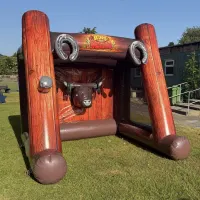 Ring The Rodeo Bull