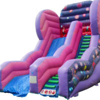 19.7ft Disco Mini Mega Slide