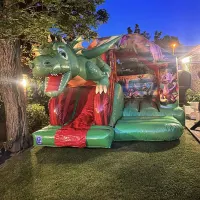 New Dragon 3d Front Slide Combi Weekend Only