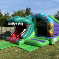 Dinosaur 3d Twin Slide Bouncy Castle