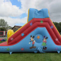 12.3ft Mickey Mouse Garden Slide