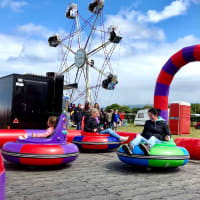 Bumper Cars