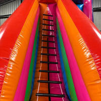 Unclimbable Ladder